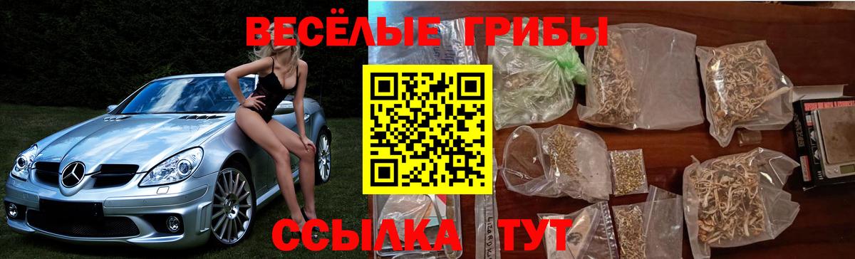 Галлюциногенные грибы прущие грибы Аша